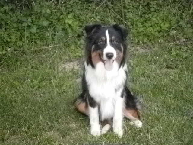 Erkane De la vallee des australiens