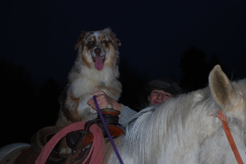 Ghost De la vallee des australiens