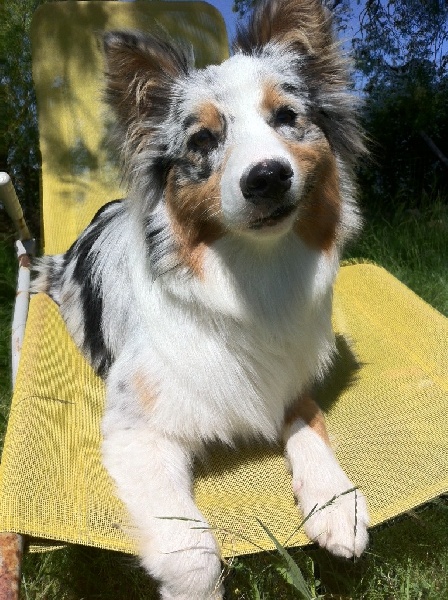 Gaïa De la vallee des australiens