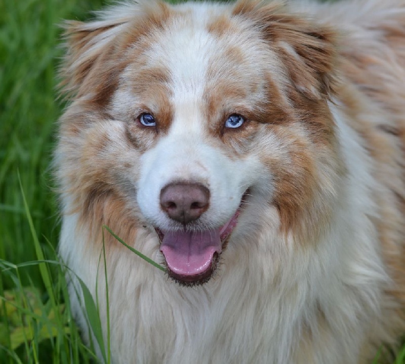 Sunke wakan brain washing